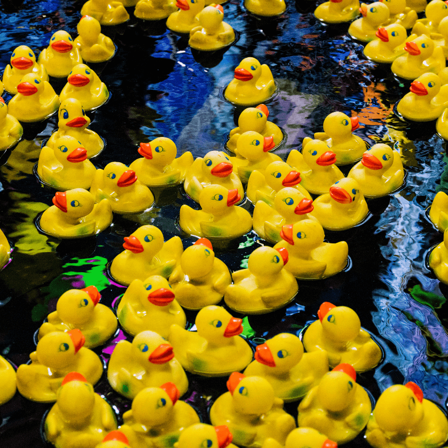 many yellow and orange rubber ducks floating in a pool 