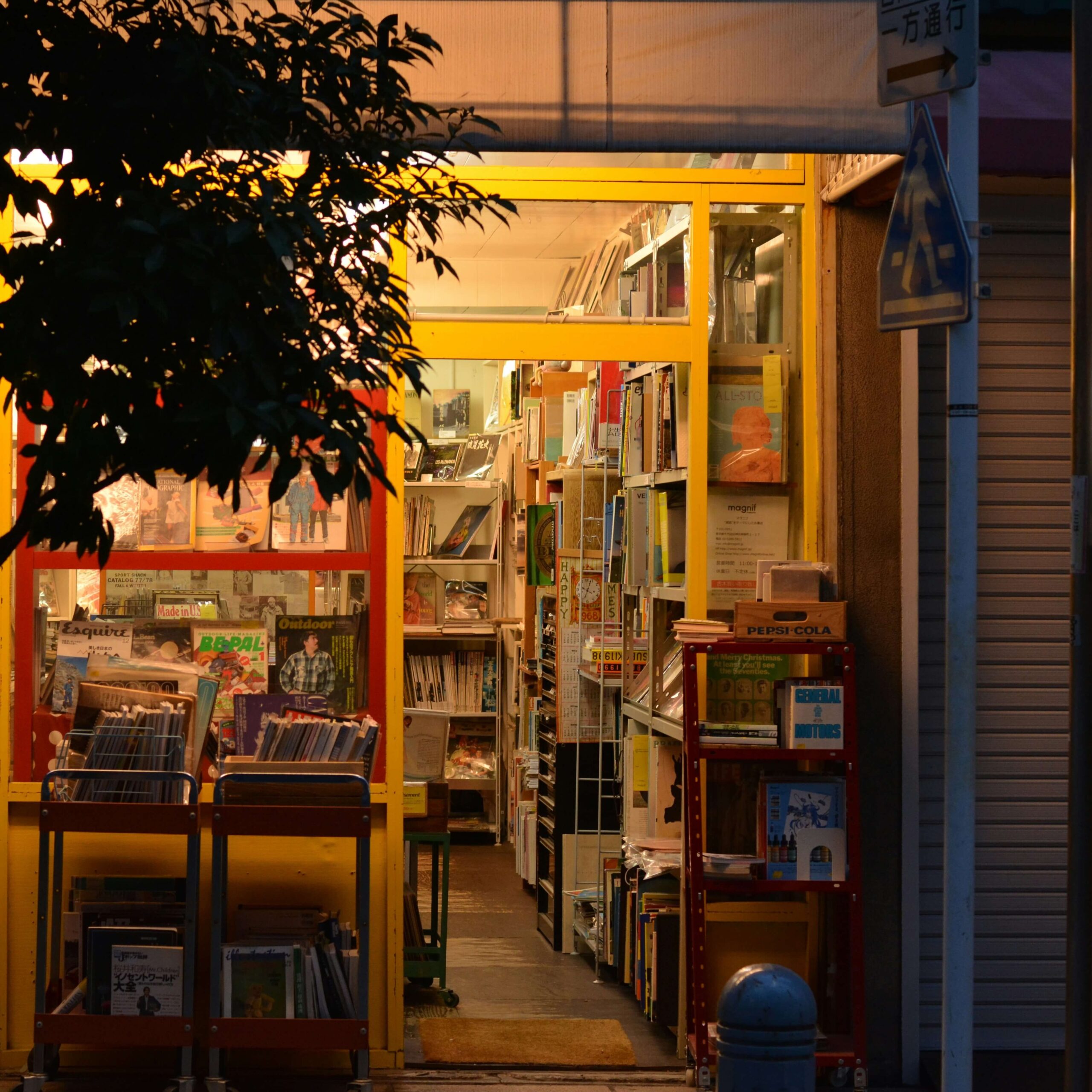 view from the sidewalk at night into a lit book store