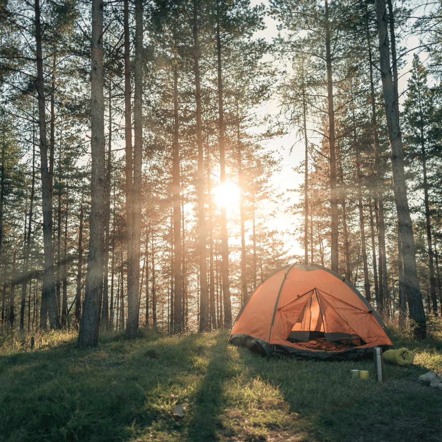an orange tent sits in the woods, with sunlight streaming through the trees
